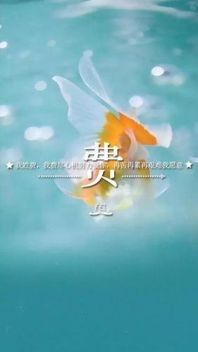 姓氏壁纸找一个专属自己的壁纸要不要了解下
