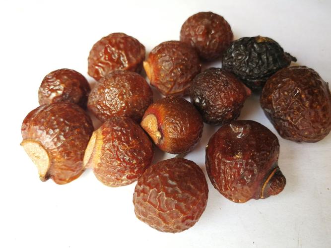 野生果洗手果肥皂果圆皂角油无患子