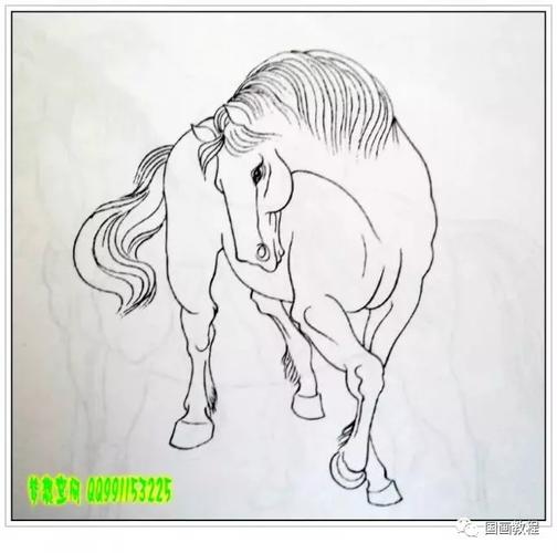 百幅写意马和白描的精彩合集