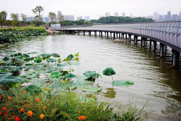 保和墨水湾·湖境廷_武汉保和墨水湾·湖境廷配套实景
