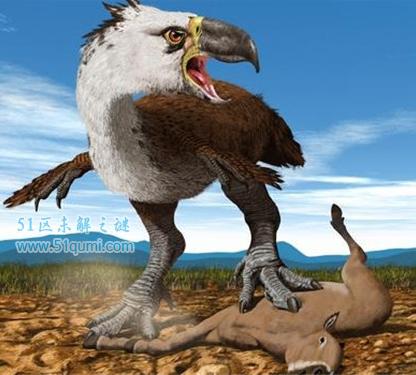 地球史上十大最强悍的动物:骇鸟