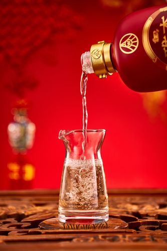 白酒饮品拍摄 酒文化 五粮液雅杏酒-宋※唐※秦