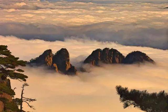黄山四绝之一奇石