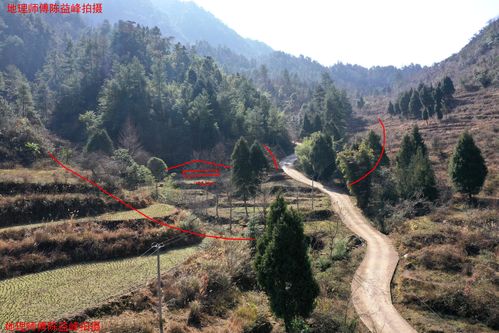 陈益峰:气脉粗蠢硬直,刘氏后人短寿少亡 - 美篇