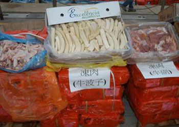 最大宗走私冻肉案件,在香港东面水域截停两艘香港货船及一艘机动快艇