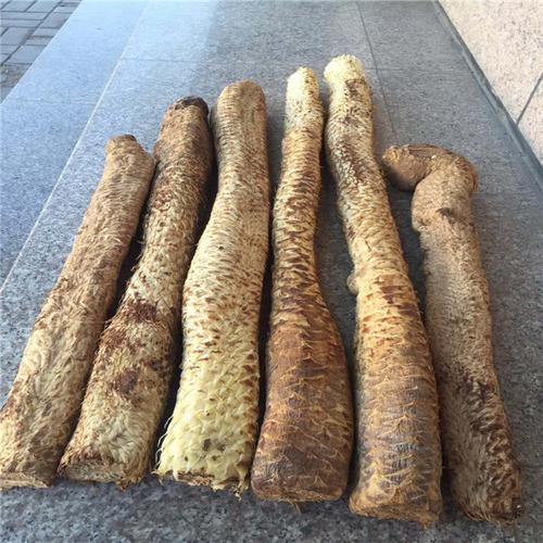 肉苁蓉和苁蓉-正宗肉苁蓉的功效与作用