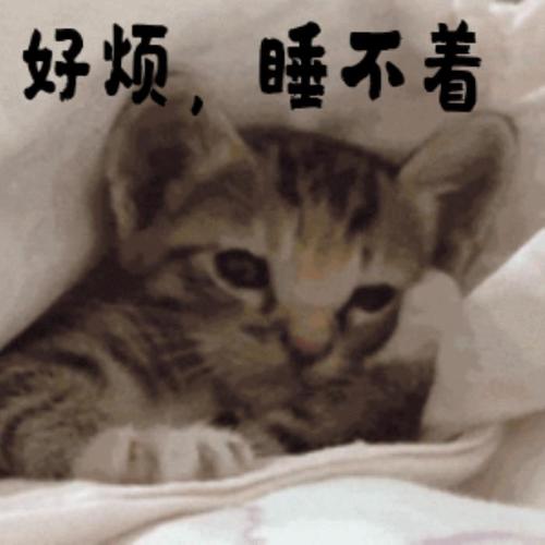 失眠睡不着图片(失眠的搞笑动图表情包)
