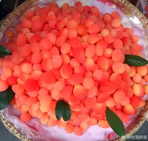 成都街头现网红水果金西梅,专家称其并不新鲜!