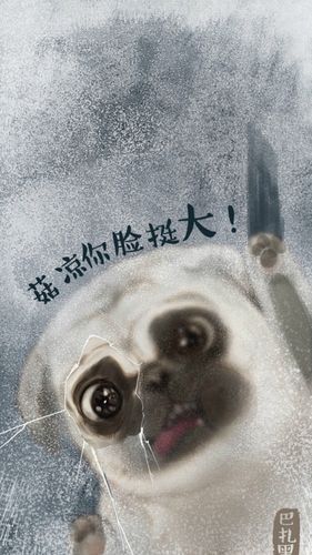 创意搞笑文字手机壁纸