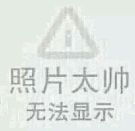 求 照片太帅无法显示 那张图
