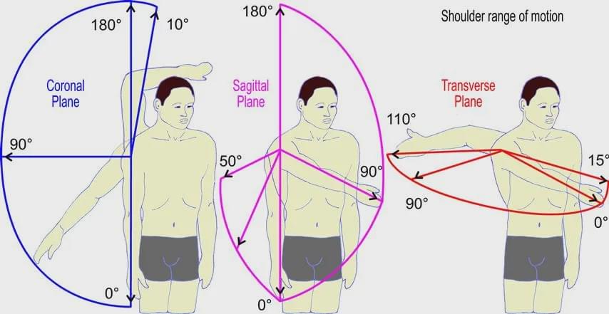 肩关节正常活动度