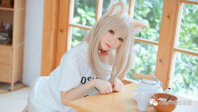 cos40原猫娘黄豆粉cos正片衣衣