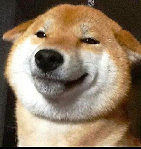 不知道是谁家的二狗子