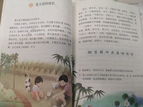 《夏天里的成长》——在遗憾中不断成长