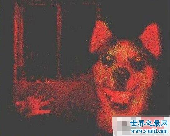 微笑狗smile dog恐怖原理,恐怖谷心理和恐怖故事(奇闻