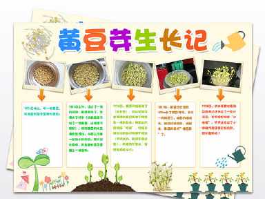 土豆生长过程的手抄报 手抄报图片大全集