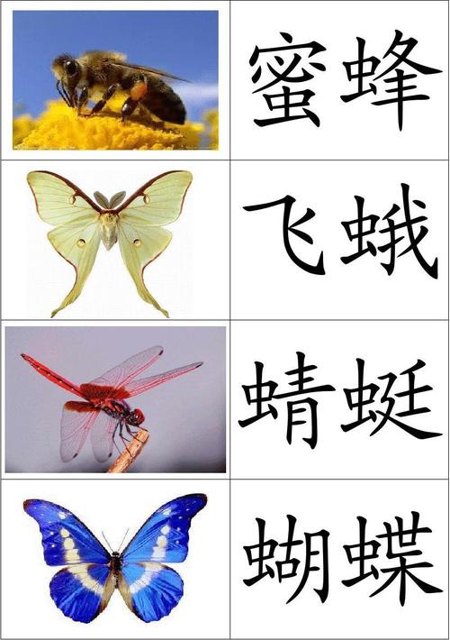 幼儿园小班识字教案一教幼儿识字这样做事倍功半