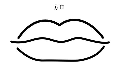 相同的两片叶子一样,每个人的的身体结构也都存在着差别,比如人的嘴唇