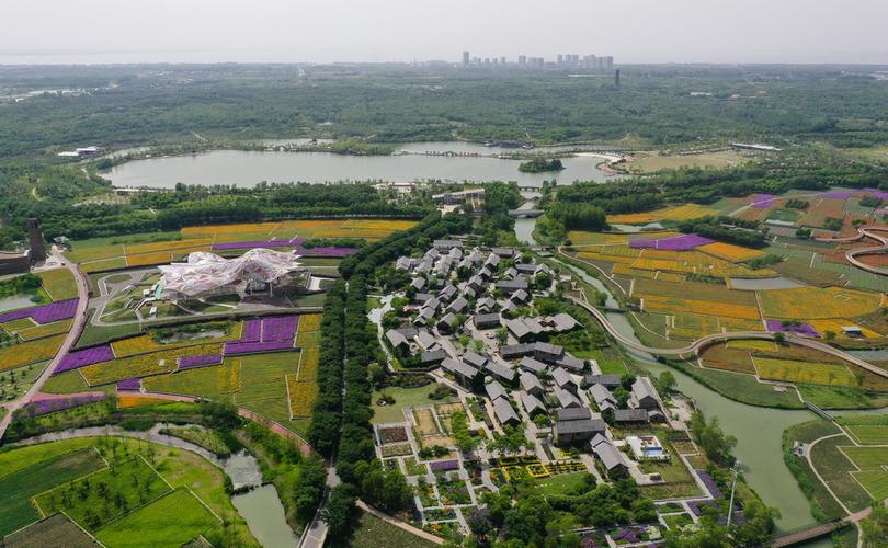 这是5月13日拍摄的宿迁三台山森林公园衲田花海景色(无人机照片)