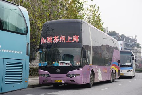 【4y】命不久矣的双层,卧铺客车