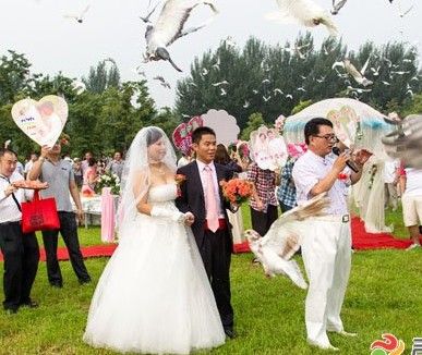 张蕾婚礼现场情况 张蕾老公是谁,中央台主持人,年纪轻轻的张蕾自然也