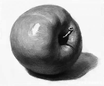 素描单体水果,这样刻画栩栩如生!