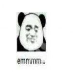 表情包软件哪个好?表情包软件排行榜-表情包软件app下载