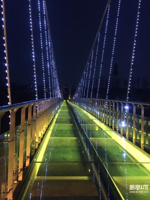 大年初二晚观莲花湖夜景 - 今日达州 - 凤凰山下