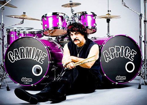 ddrum鼓代言人–传奇鼓手carmineappice