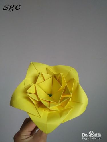 折纸教程——纸折花之鸡蛋花的折法