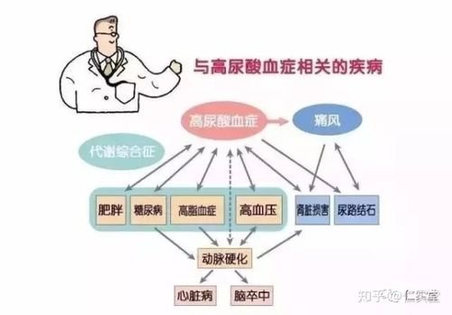 高尿酸血症的流行病学及其危害