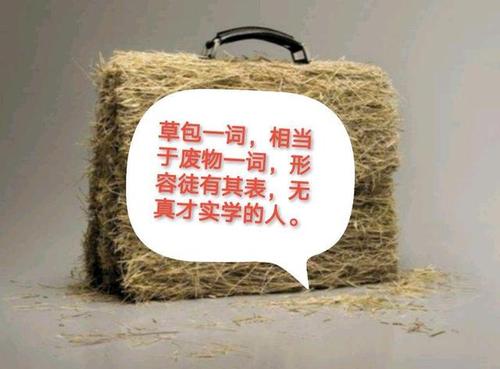 "草包"引出争议!网友:这不是骂人!网友:这就是骂人!