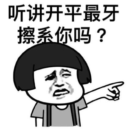 听讲开平最牙擦系你吗?表情包 - 日常表情包