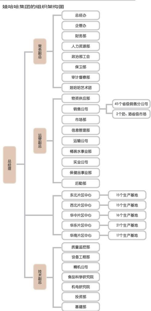 "效率王"娃哈哈的组织体制
