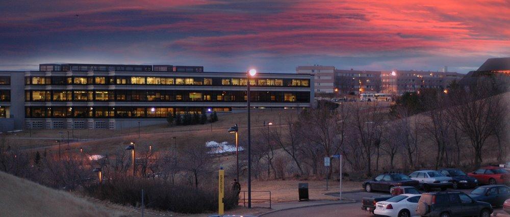 莱斯布里奇大学