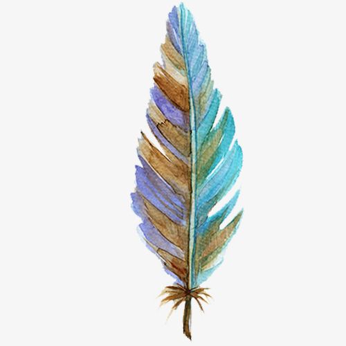 彩色梦幻装饰羽毛设计图