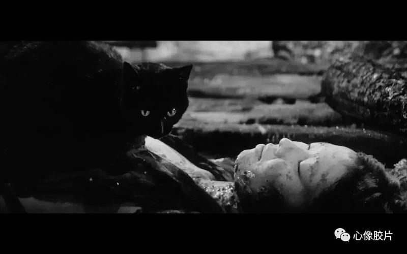 新藤兼人恐怖片《黑猫》:自我与他我