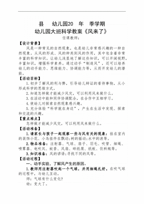 幼儿园大班科学教案《风来了》含反思.docx 4页