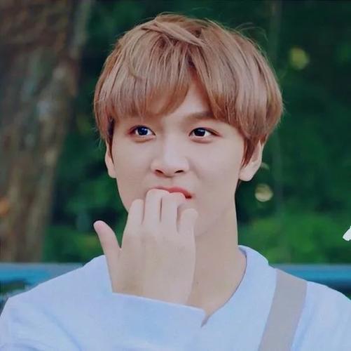 头像|nct 李楷灿合集