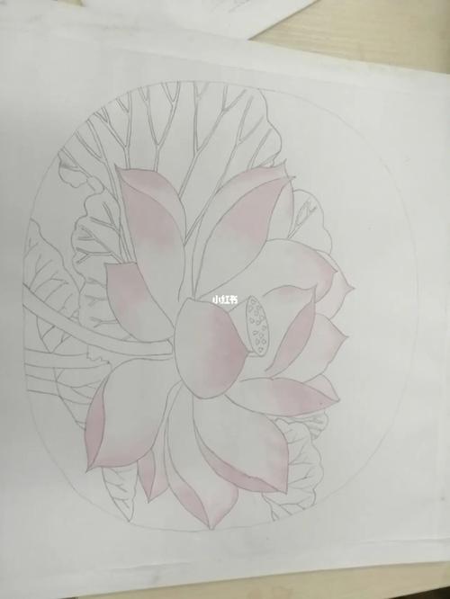 《出水芙蓉图》_工笔画_文化_绘画