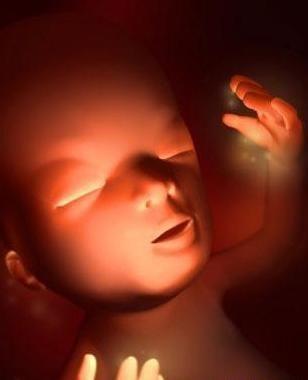 你有见过吗?胎儿40周的发育三维效果图!