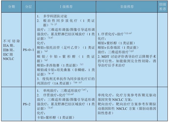 2020版csco非小细胞肺癌指南基于病理类型分期和分子分型的综合治疗