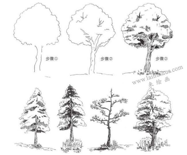 树干和树叶速写画法浅析