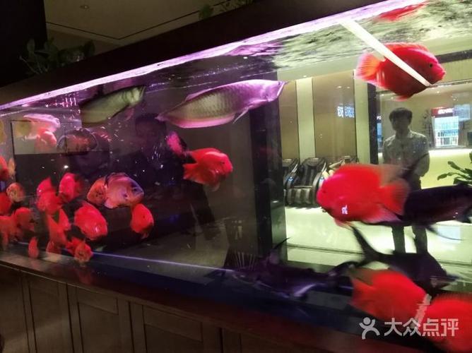 江南水会休闲会所图片 - 第5张