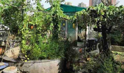 大渡口区春晖路 三木花园 125平米