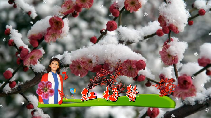七绝.红梅赞
