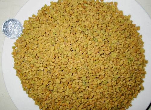 葫芦巴500g胡芦巴籽芦巴豆 芦巴子 苦豆 香豆子
