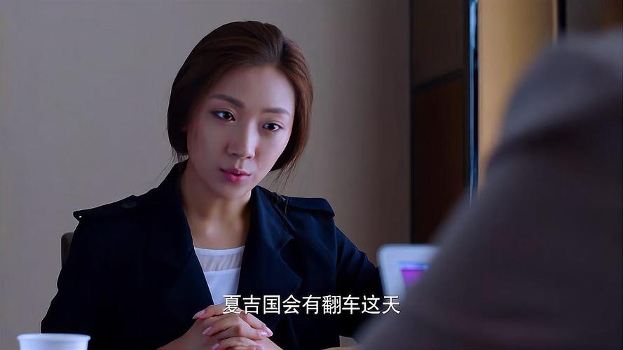 猎场:罗伊人跟了夏吉国四年多,一件犯罪的事都没干过,律师惊了