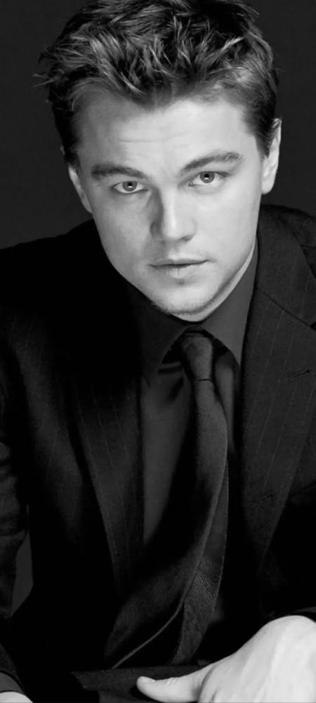 壁纸:莱昂纳多 帅气小李子