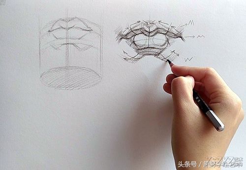 素描嘴巴的结构示范
